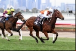 Royal Rapture Tops 2016 Balaklava Cup Field & Weights